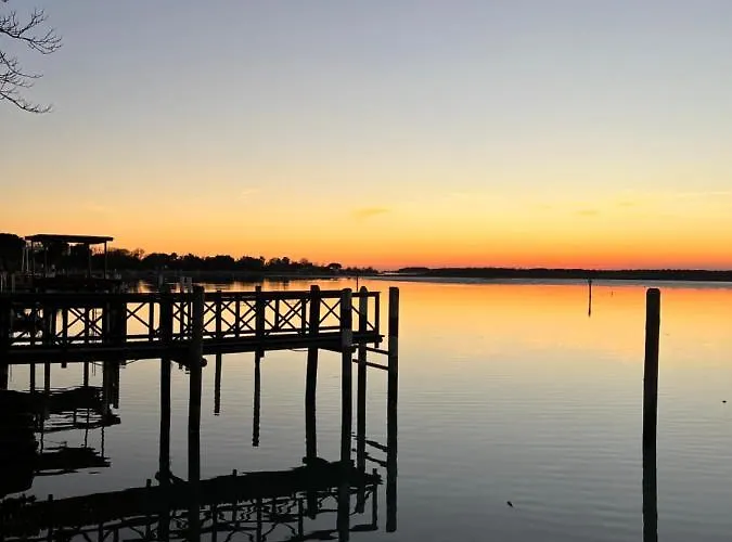 Jody Bibione, Poolside With Garden * Bibione