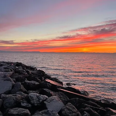 Jody Bibione, Poolside With Garden
