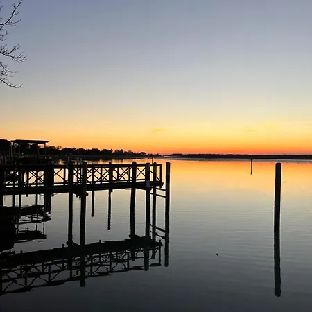 Jody Bibione, Poolside With Garden * Bibione