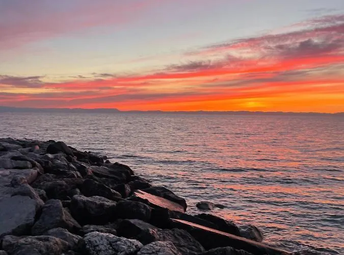 Jody Bibione, Poolside With Garden